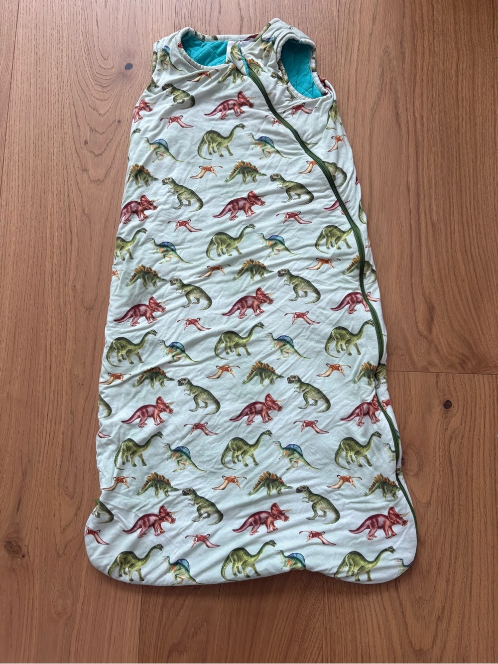 Posh Peanut Dinosaur Print Sleep Sack in White, Green, Red, Blue